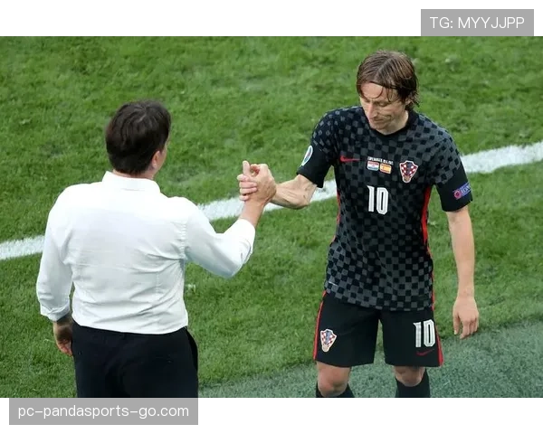 莫德里奇家冰箱里只有蛋白粉和冰块