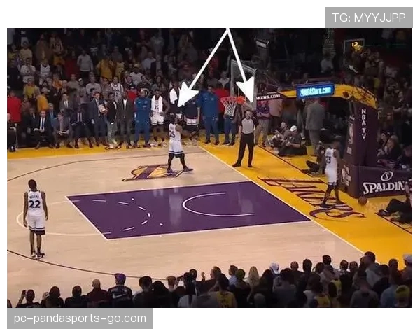 发球干扰规则怎么判？新手玩家如何正确执行？